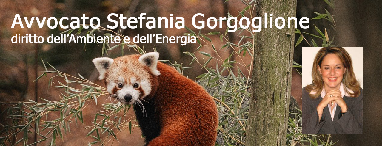 avvocato Stefania Gorgoglione - Milano