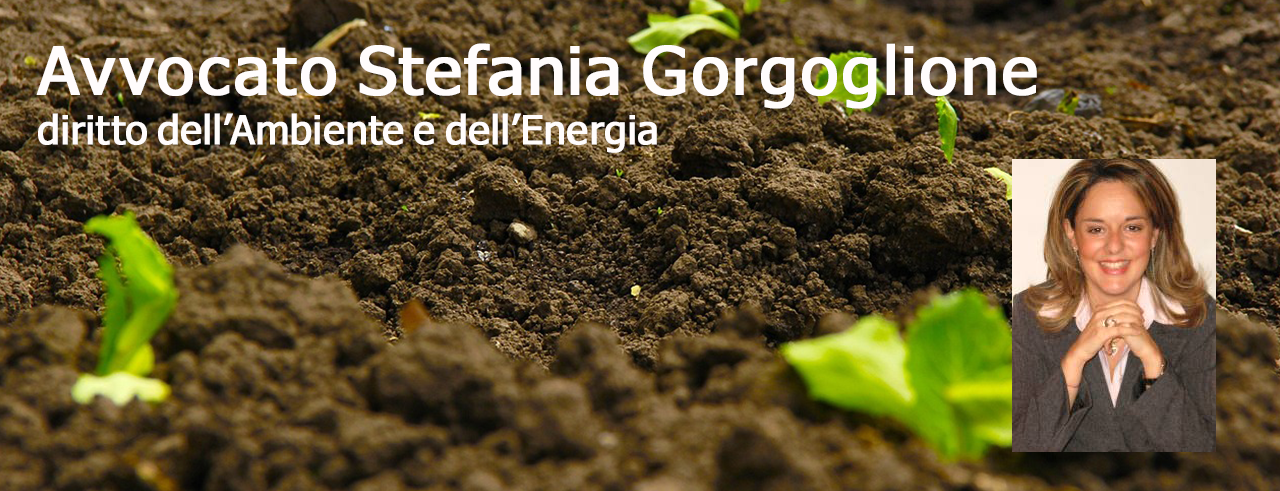avvocato Stefania Gorgoglione - Milano
