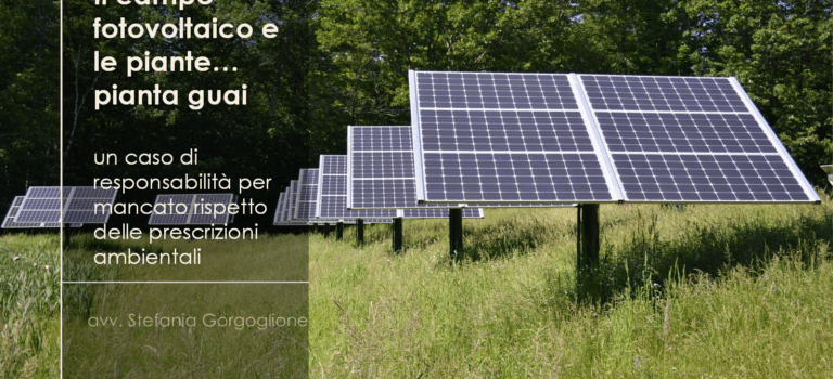Il campo fotovoltaico… e le piantine piantaguai Il campo fotovoltaico... e le piantine piantaguai