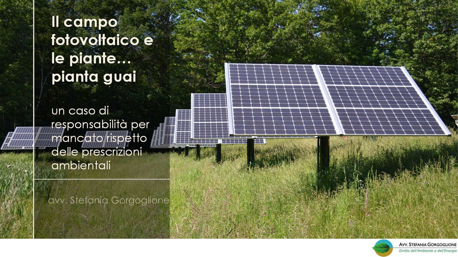 Il campo fotovoltaico... e le piantine piantaguai