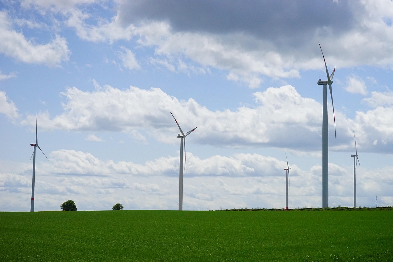 Attività dello Studio sui temi del diritto dell’Ambiente e dell’Energia Foto di Hans da Pixabay